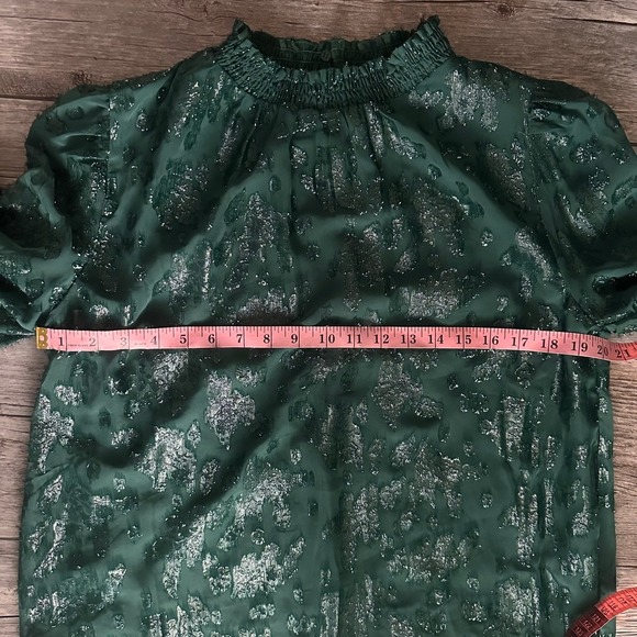 Mello Day Green Sheer Metallic Burnout Blouse Ruffle Mock Neck Long Sleeve Top - Picture 10 of 11